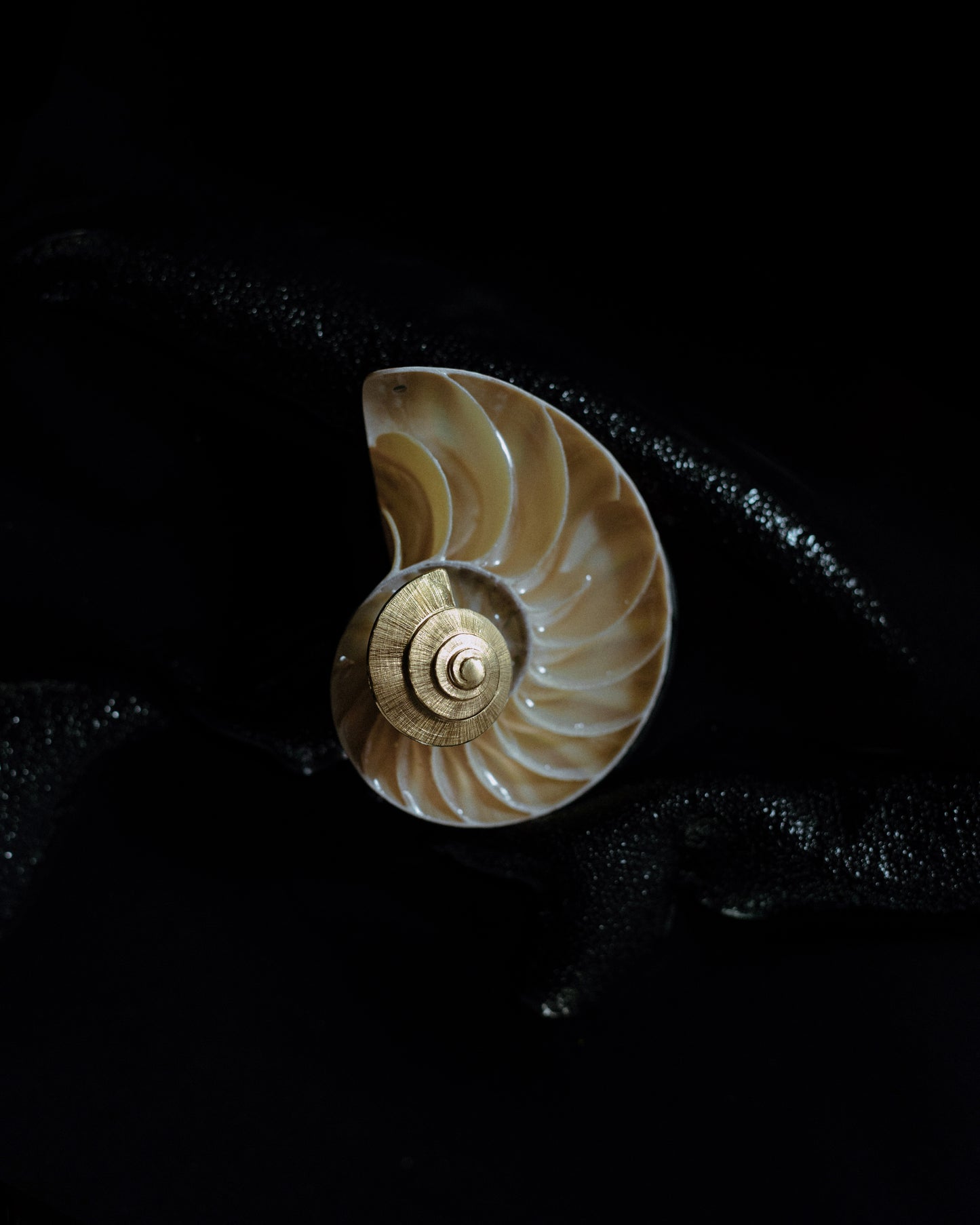 Brincos Mirabilis I - Brincos | Vangloria Jewelry Design