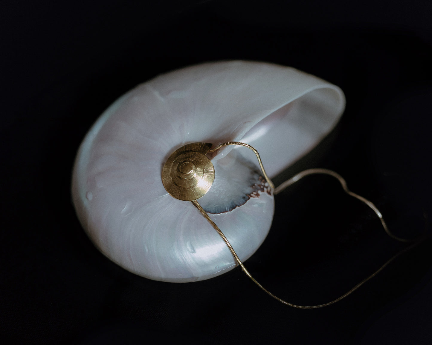 Colar Mirabilis - Colares | Vangloria Jewelry Design