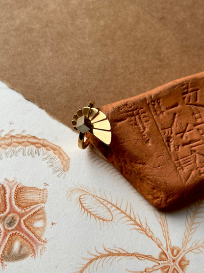 Anel Mini Nautilus Toujour - Anéis | Vangloria Jewelry Design