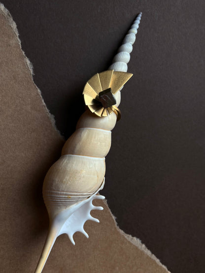 Anel Nautilus Dourado - Anéis | Vangloria Jewelry Design