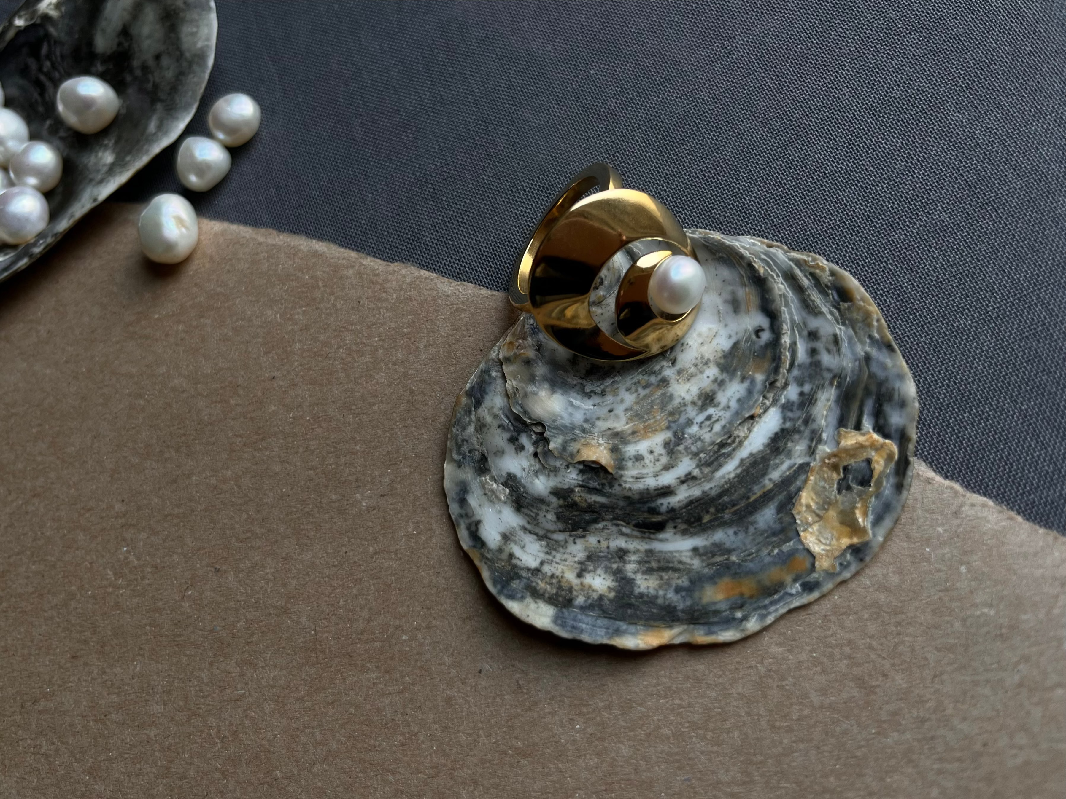 Anel Pearl Shell Polido - Anéis | Vangloria Jewelry Design