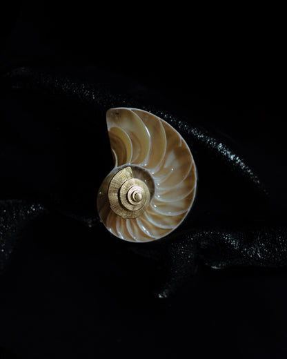 Brincos Mirabilis I - Brincos | Vangloria Jewelry Design