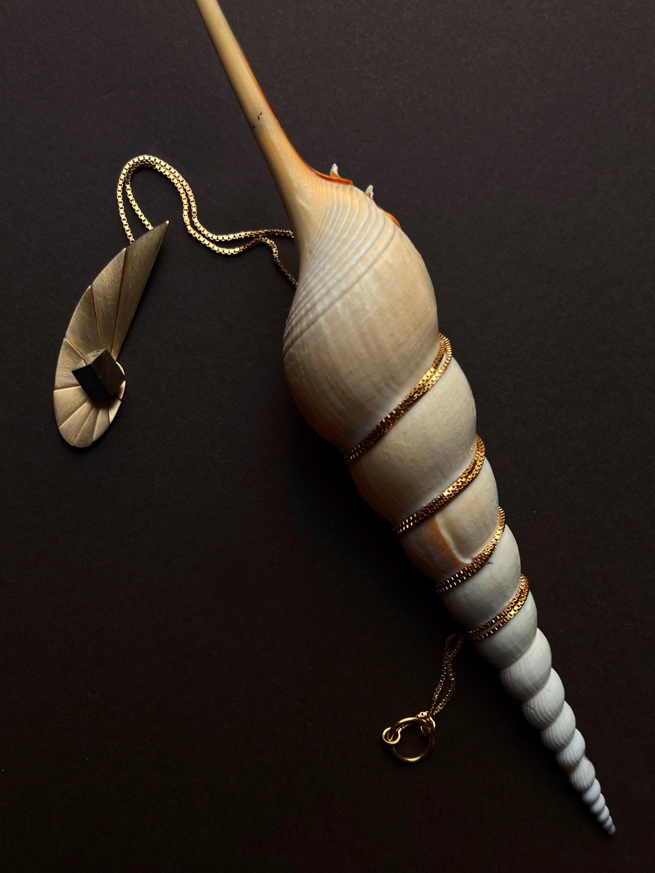 Colar Longo Nautilus Extended Dourado - Colares | Vangloria Jewelry Design