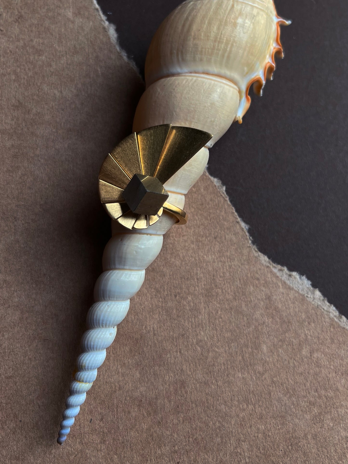 Anel Nautilus Dourado - Anéis | Vangloria Jewelry Design