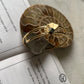 Nautilus Toujour Bracelet 